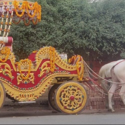 Bhagghi Luxury & Vintage cars