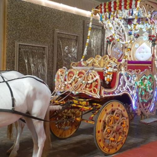 Bhagghi Luxury & Vintage cars